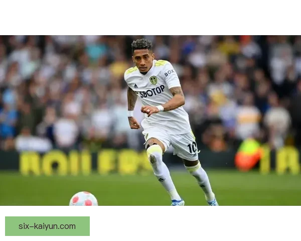 拉菲尼亚职业生涯成就盘点